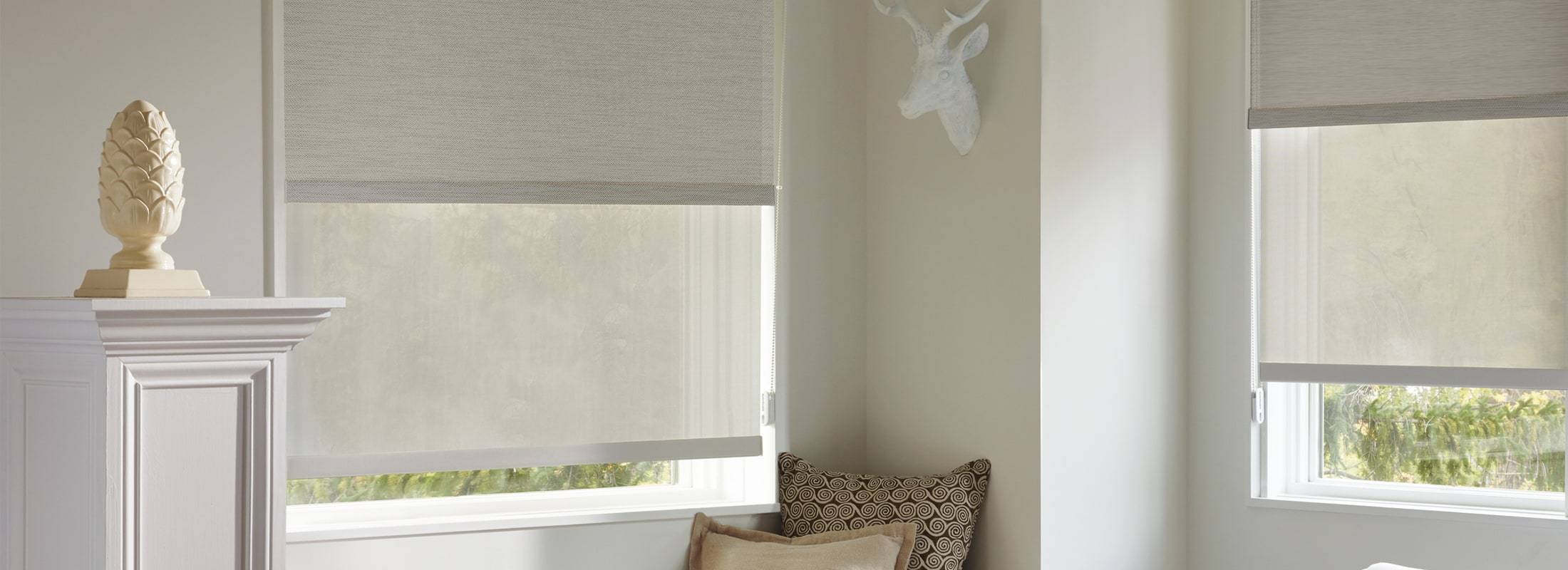 Designer Blinds
