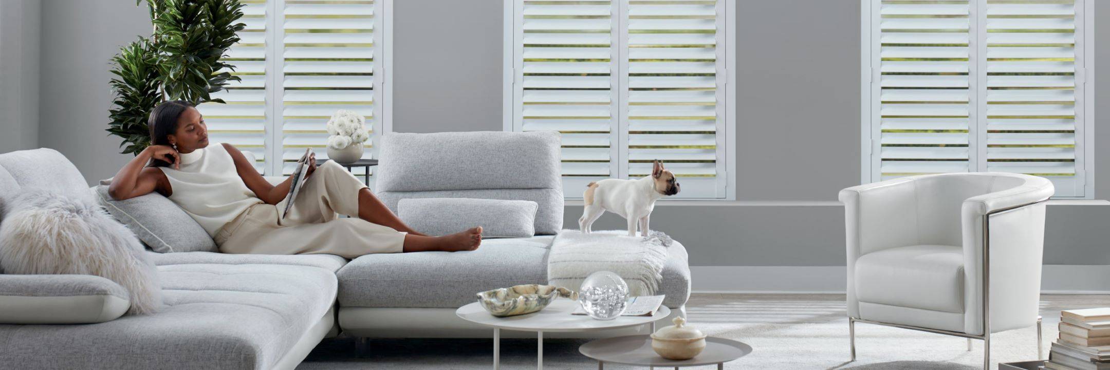 Hybrid Shutters